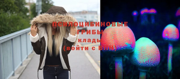 хмурый Нея