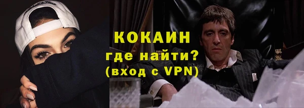хмурый Нея