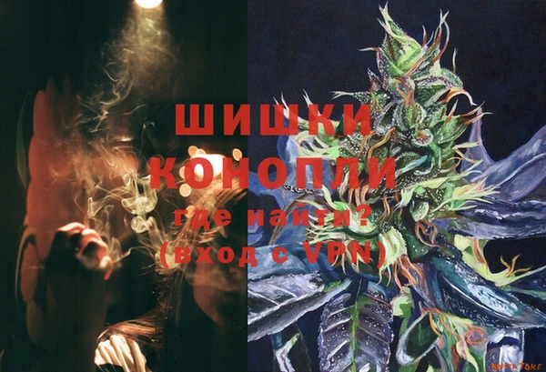 хмурый Нея