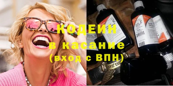 хмурый Нея
