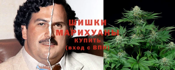 хмурый Нея