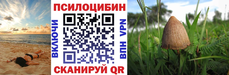 kraken как зайти  где продают наркотики  Северская  Псилоцибиновые грибы Magic Shrooms 
